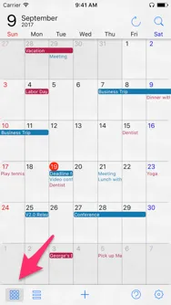 Calendar View
